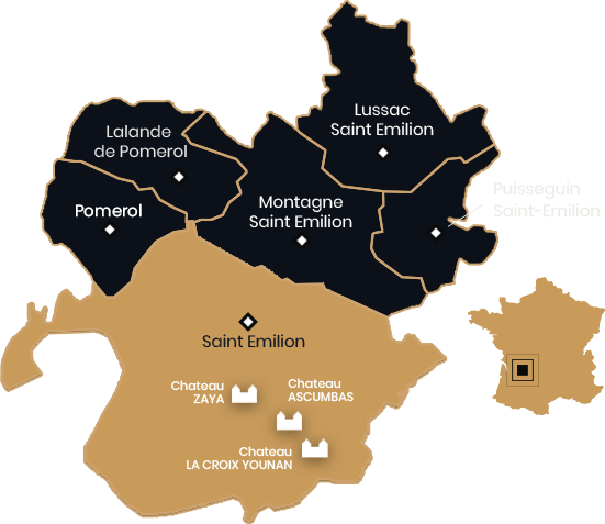 Younan : Vignobles Younan : vignoble de la r&eacute;gion de Saint-Emilion (Accueil)